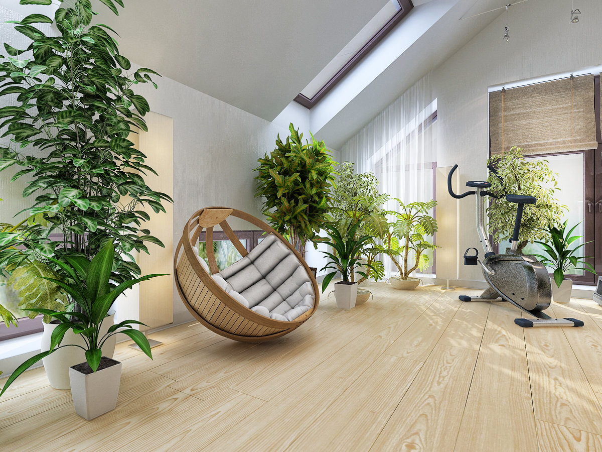 Комнатные Растения В Дизайне Интерьера Квартиры