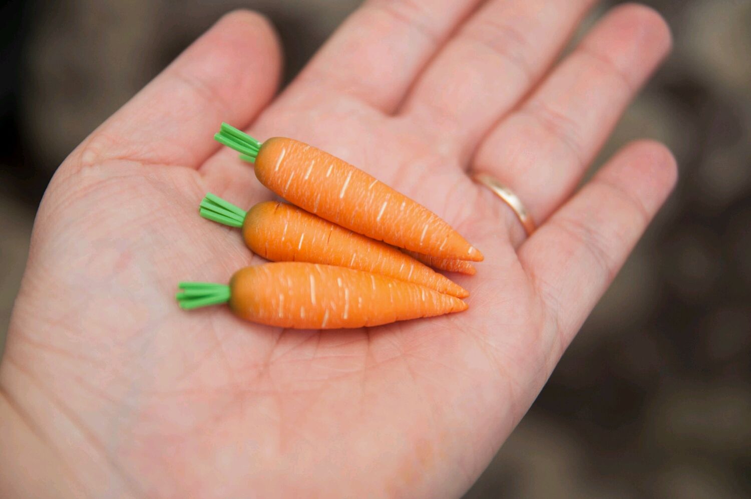 Где Можно Купить Семена Моркови