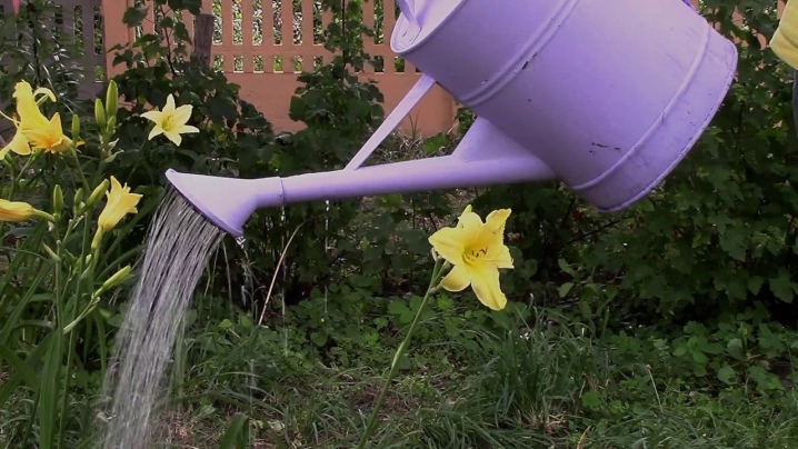 Ландшафтный дизайн с лилейниками: фото клумб в саду на дачном участке