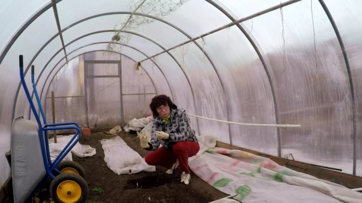 Как сохранить хризантемы зимой: уход в открытом грунте, правила подготовки, выкапывание