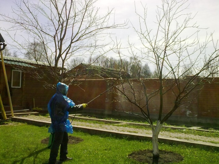 Обработка яблонь весной от болезней и вредителей железным купоросом