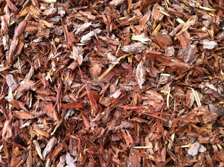 Мульча из коры: применение коры лиственницы и сосны для мульчирования, полезные свойства коры деревьев для почвы