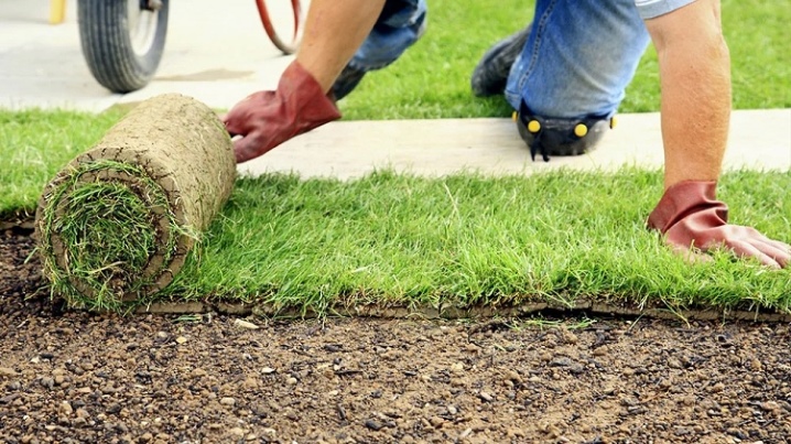 Как подготовить участок под газон: что сделать с грунтом перед посадкой