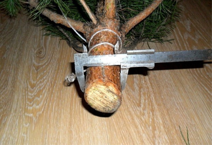 Подставка для елки своими руками (35 фото) как сделать из металла и из дерева? Самодельная подставка с водой из подручных материалов