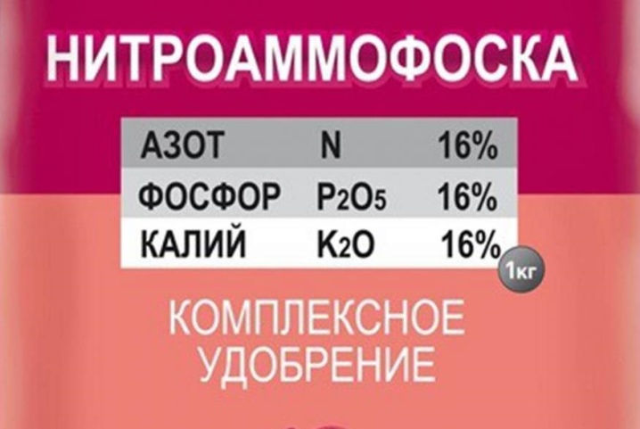 Клен Гиннала: посадка и уход, обрезка поросли, методы размножения, в открытом грунте, сроки и правила посадки, формирование кроны фото, описание дерева