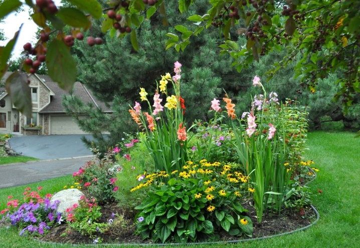 33 лучших декоративных растений для посадки возле дома: деревья, кустарники, цветы с фото и названиями