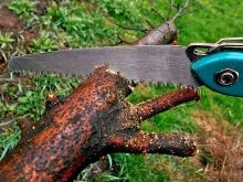 Садовая электропила для обрезки деревьев