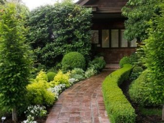 Современные красивые дворики: ландшафтный дизайн вокруг частного дома