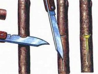 Ножи для прививки садовых деревьев
