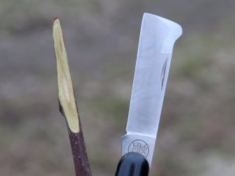 Ножницы для прививки деревьев видео