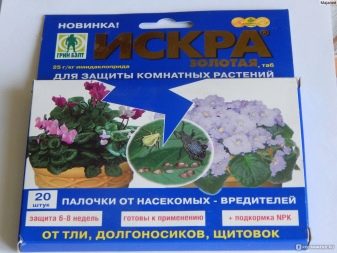 Пуансеттия: описание, виды и советы по выращиванию