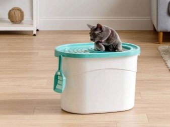 Какой выбрать туалет домик для кошки