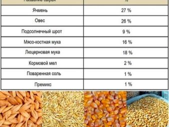 Приготовление корма свиней в домашних условиях