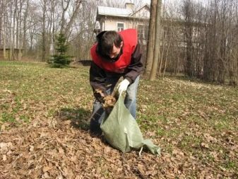 площадь выпаса на одну корову