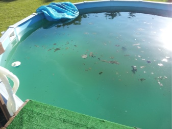 Чем отмыть налет на надувном бассейне