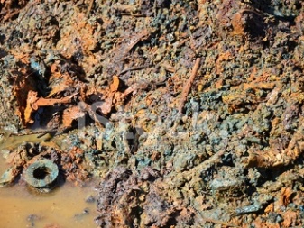 С чем связано и чем опасно загрязнение почвы тяжелыми металлами