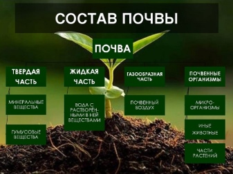 свойства почвы и ее площадь