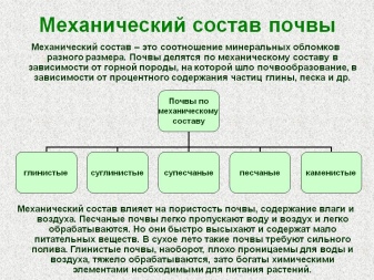 Какие нерастворимые вещества содержатся в почве