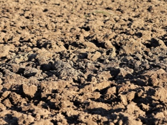 Полезные ископаемые входящие в состав почвы