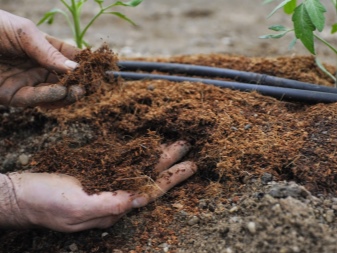 Удобряем почву в саду: что внести в грунт весной, летом и осенью?