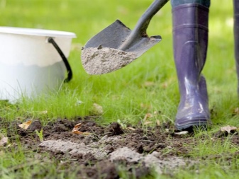 Удобряем почву в саду: что внести в грунт весной, летом и осенью?