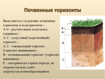 Какими свойствами обладает почва как среда обитания