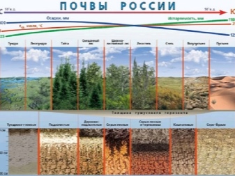 Какие типы почв преобладают в россии их свойства