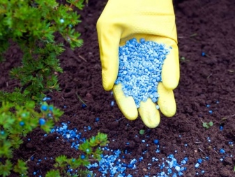 Виды минеральных и органических удобрений для подкормки сада