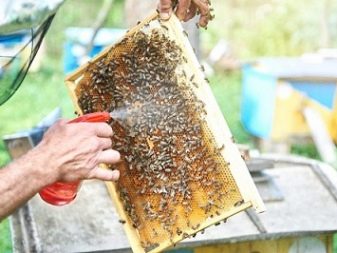 Обработка пчел: термокамера для термообработки осенью и ее устройство. Как  обрабатывать своими руками пихтовым маслом и молочной кислотой, дымом и  полынью?