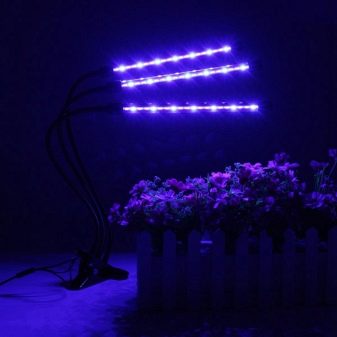 Польза светодиодных ламп для цветов