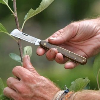 Плоский садовый нож для прививок