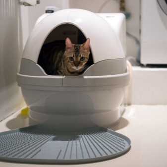 Туалет домик для кошки какой