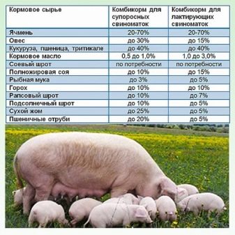 Состав корма для свиней в домашних условиях