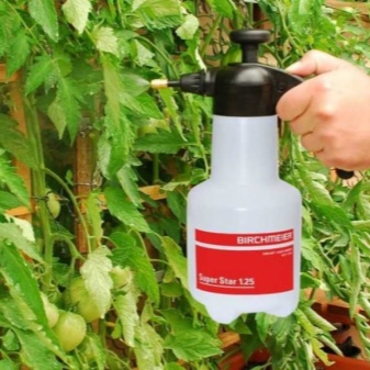 Как приготовить бордосскую жидкость для обработки помидор