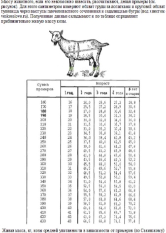 как узнать вес козы без весов таблица. kak opredelit ves kozy 17. как узнать вес козы без весов таблица фото. как узнать вес козы без весов таблица-kak opredelit ves kozy 17. картинка как узнать вес козы без весов таблица. картинка kak opredelit ves kozy 17.
