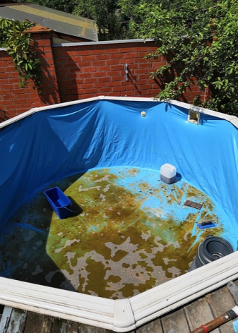 Чем отмыть плесень бассейн после слива воды
