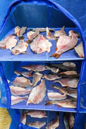 Сушилка для рыбы: типы, тонкости выбора и мастер-класс по изготовлению 