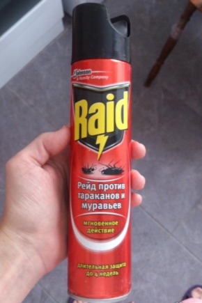 Использование средств Raid от тараканов