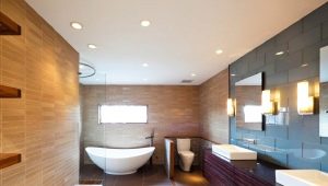 Влагозащищенные светильники для ванной комнаты 