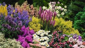 Подбираем растения для осенних цветников