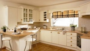 Кухни с окном посередине: особенности, планировка и дизайн 