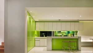 Кухни в бело-зеленых тонах