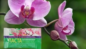 Цитокининовая паста для орхидей: особенности, правила использования и хранения