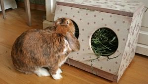 Кормушки для кроликов: особенности и виды