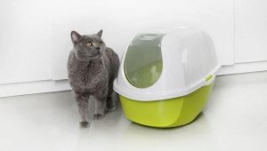 Туалеты-домики для кошек: особенности, виды, советы по выбору и размещению
