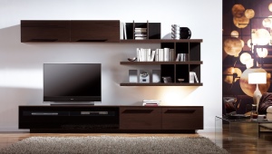 Мебель в современном стиле под телевизор: особенности, виды и выбор