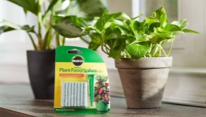 Как выбрать удобрение для комнатных растений?