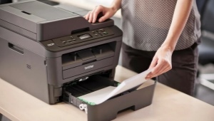 Разновидности и выбор бумаги для принтера