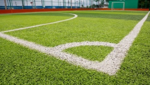Описание и разновидности газонов для футбольного поля