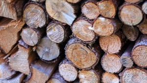 Какими механическими свойствами обладает древесина?